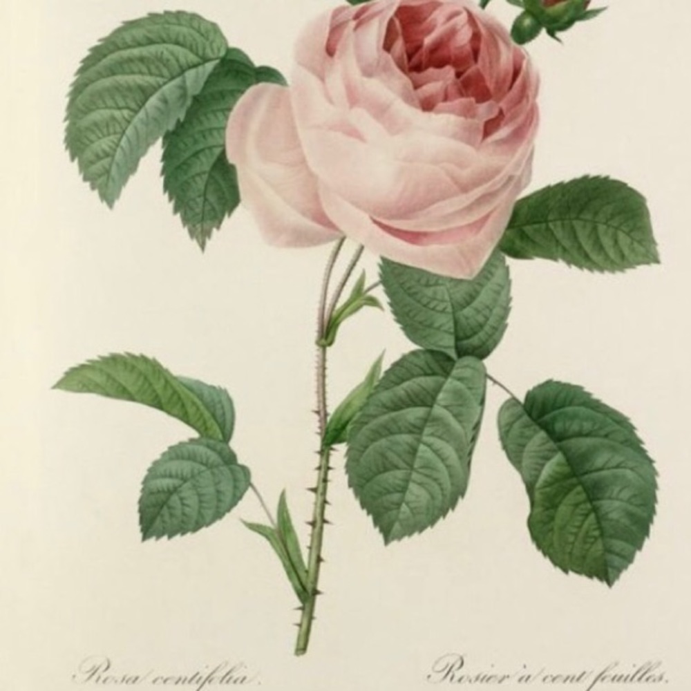 SpringTime🌸🤞 - Picture 7 of 16